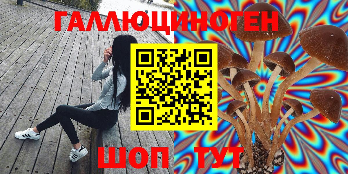 Псилоцибиновые грибы Psilocybine cubensis Когалым