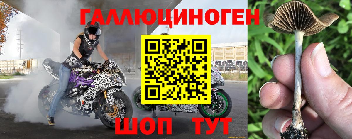 Галлюциногенные грибы прущие грибы  Галлюциногенные грибы мицелий  Вход с VPN  Когалым 